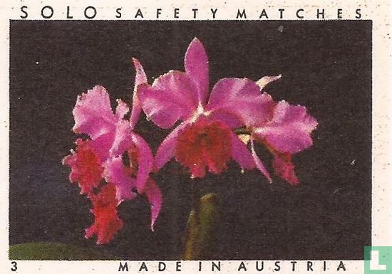 SOLO safety matches
