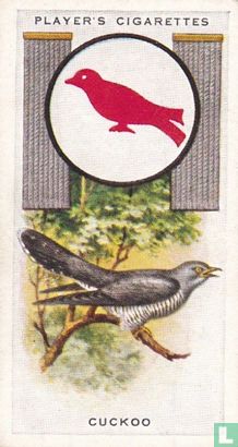 Cuckoo - Afbeelding 1