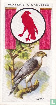 Hawk - Afbeelding 1