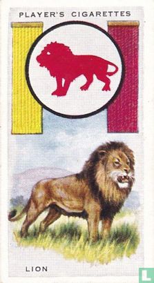 Lion - Afbeelding 1