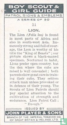 Lion - Image 2