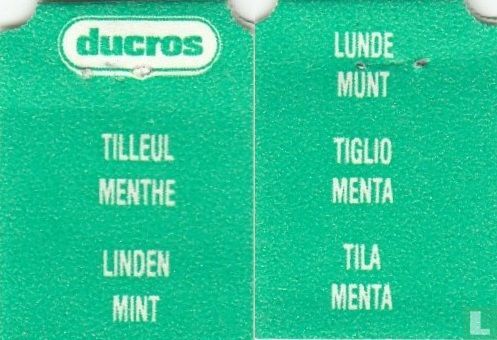 Tilleul Menthe - Image 3