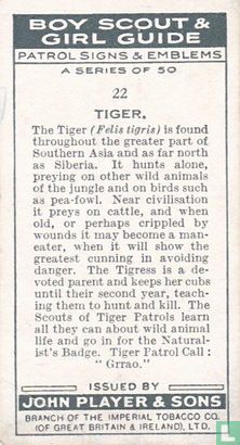 Tiger - Image 2