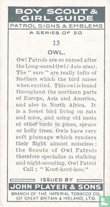 Owl - Afbeelding 2
