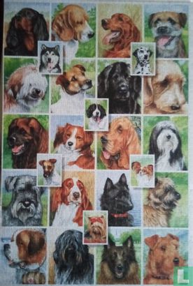 Honden Collage - Afbeelding 3