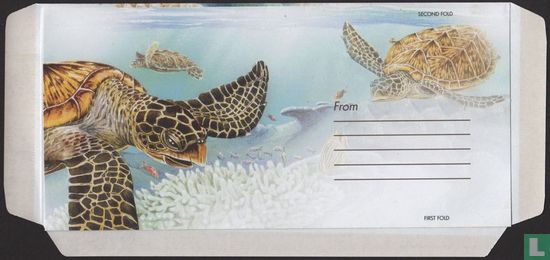 Karetschildpad - Afbeelding 2