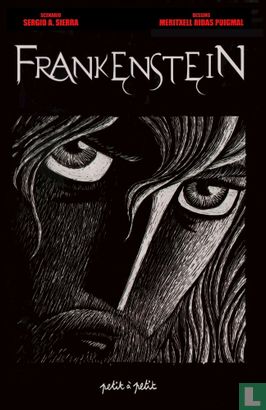 Frankenstein - Bild 1