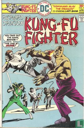 Richard Dragon Kung-Fu Fighter 7 - Image 1