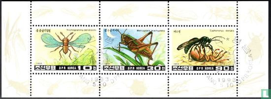 Insects  - Image 2