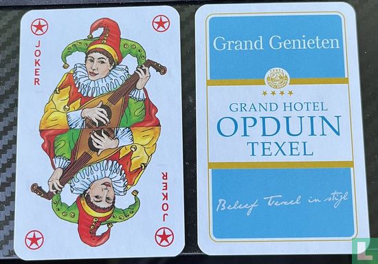 Joker Grand Hotel Op Duin Texel