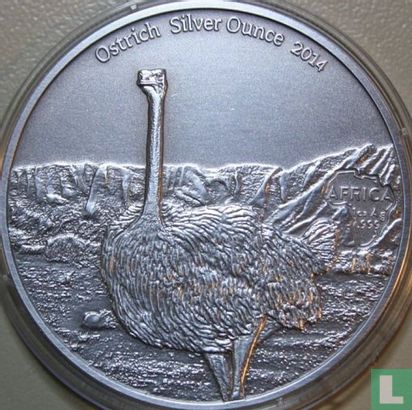 Gabon 1000 francs 2014 (colourless) "Ostrich" - Image 1