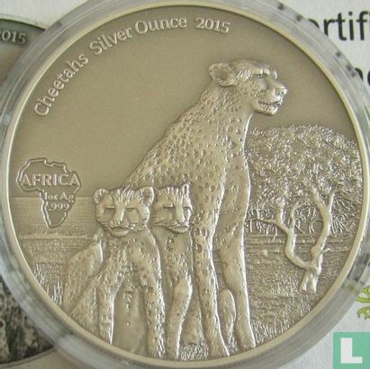 Gabon 1000 francs 2015 (kleurloos) "Cheetahs" - Afbeelding 1