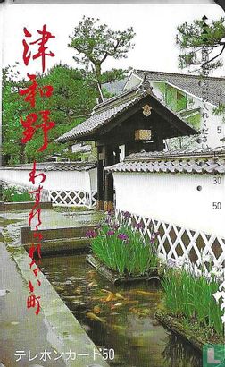Koi carp - Image 1