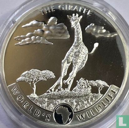 Congo-Kinshasa 20 francs 2019 (kleurloos) "The giraffe" - Afbeelding 2