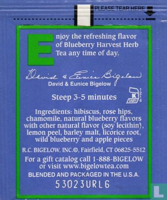 Blueberry Harvest - Image 2