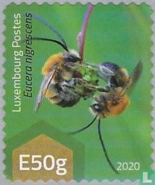 bees - Image 1