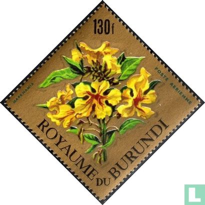 Markhamia lutea