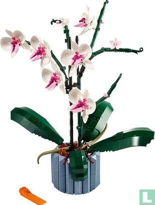 Lego 10311 Orchid - Afbeelding 3