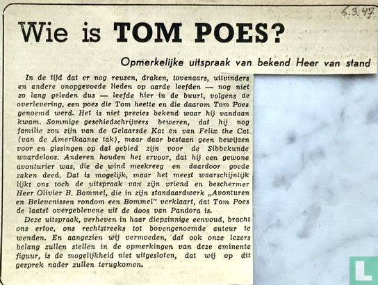 Wie is Tom Poes? - Afbeelding 1