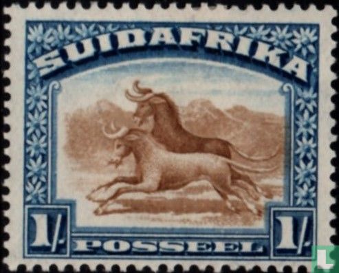 Wildebeest (Afrikaans) 
