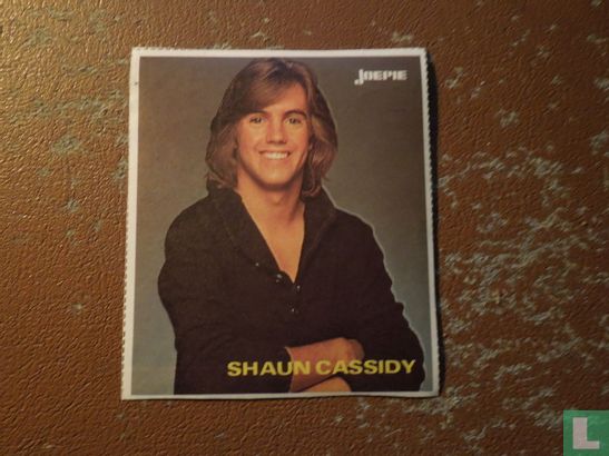 Shaun Cassidy