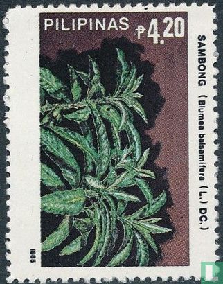 Flora