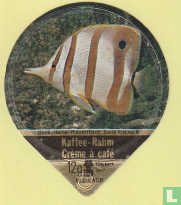 Gebänderter-Pinzettfisch