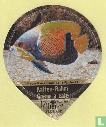 Traum-Kaiserfisch