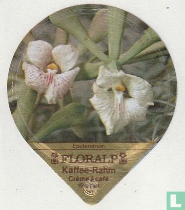 Epidendruml