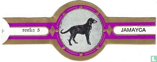 Le chien gris de Saint-Louis - Image 1
