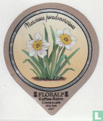 Narzissus pseudonarzissus