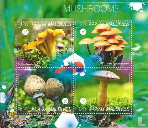 Champignons