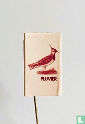 Pluvier