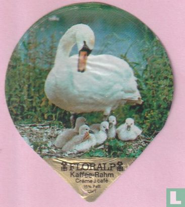 Höckerschwan