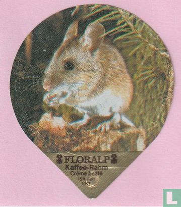 Waldmaus