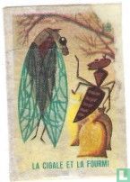 Le cigale et le fourmi