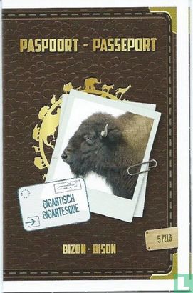 Bizon Paspoort / Bison Passeport - Afbeelding 1