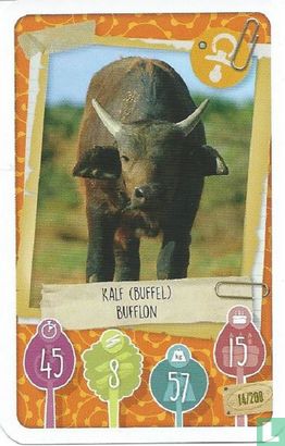 Kalf (Buffel) / Bufflon - Afbeelding 1