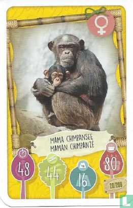 Mama Chimpansee / Maman Chimpanzé - Afbeelding 1