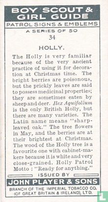 Holly - Image 2
