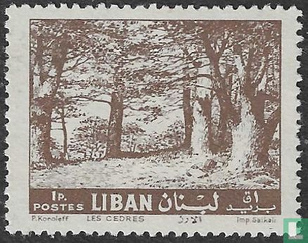 Ceders van Libanon
