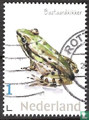 Landgoed Haarzuilens - Bastard Frog