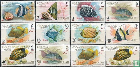Fish with overprint - Image 1
