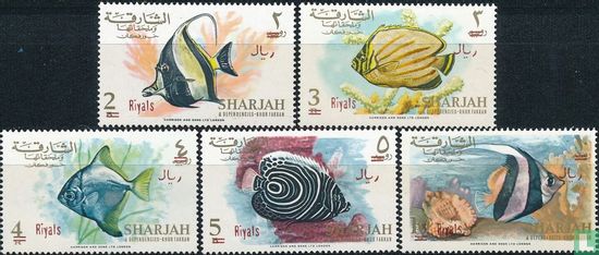Fish with overprint - Image 2