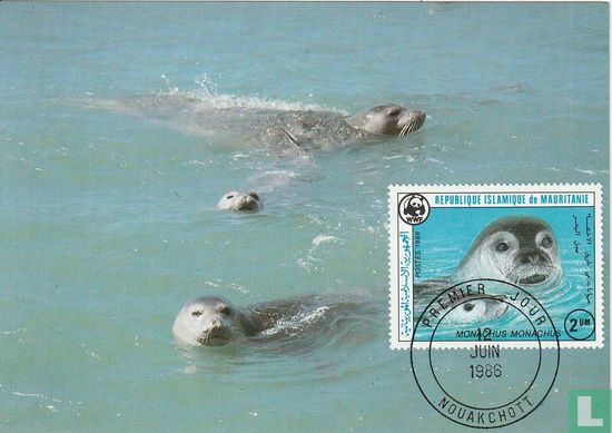 Monk seal - Image 1