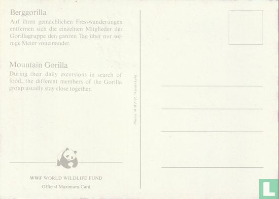 Berggorilla - Afbeelding 2