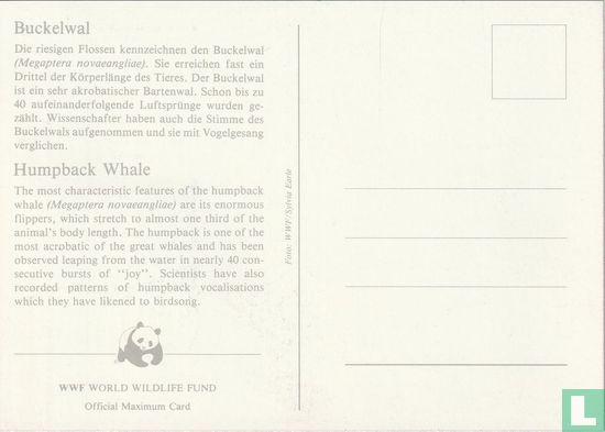 Wale - Bild 2