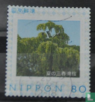 Baum