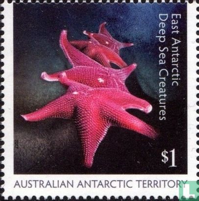 Oost-Antarctische diepzeedieren
