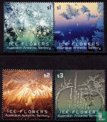 Ice flowers